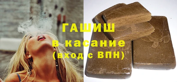 прущие грибы Саяногорск